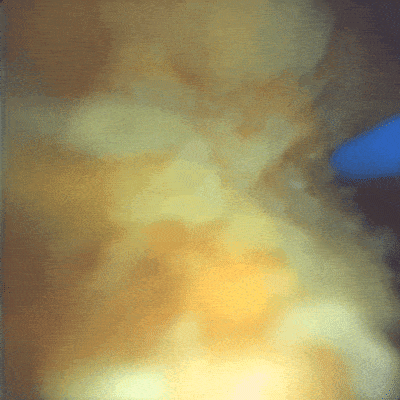 1680227707925819.gif MTVideo (1).gif
